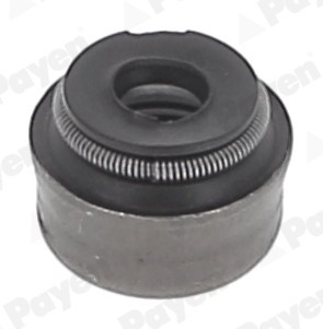 PAYEN PA5025 Etansare, supape foto