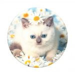 Suport universal de telefon, original Popsockets? Purr-fect Flower foto