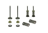 Set complet supape evacuare KTM SX-F EXC-F 250 05- 07 XU-09550EK