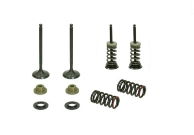 Set complet supape evacuare KTM SX-F EXC-F 250 05- 07 XU-09550EK foto