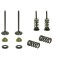 Set complet supape evacuare KTM SX-F EXC-F 250 05- 07 XU-09550EK