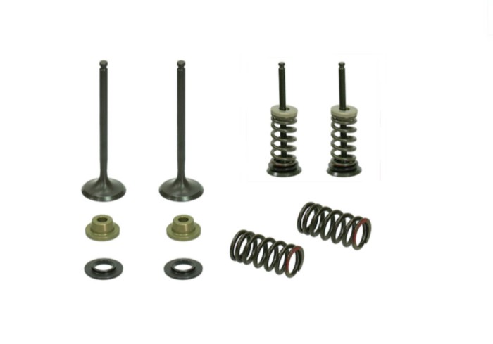 Set complet supape evacuare KTM SX-F EXC-F 250 05- 07 XU-09550EK