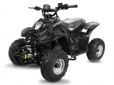 ATV electric ECO Bigfoot 800W 36V cu Baterie Detasabila Negru foto