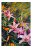 Tablou Canvas Flori Stelare Zbor Diafan Art Floral, 26 x 39 cm, CMCLASS