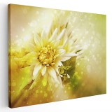 Tablou canvas floare dalie fantezie in nuante de alb, galben, verde 1109 Tablou canvas pe panza CU RAMA 70x100 cm