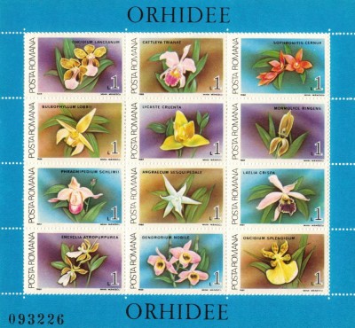 ROMANIA 1988 - Orhidee/ colita MNH foto