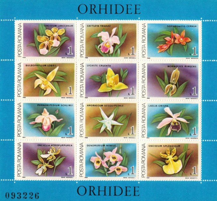 ROMANIA 1988 - Orhidee/ colita MNH