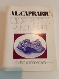 CICATRICELE PENUMBREI - AL. CĂPRARIU