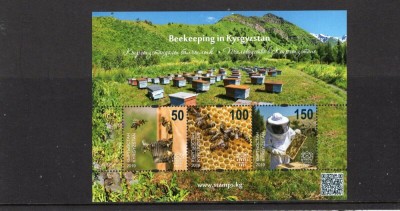 KYRGYZSTAN 2019 ALBINE APICULTURA foto