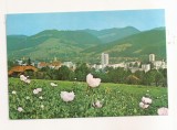 RF61 -Carte Postala- Campulung-Moldovenesc, necirculata