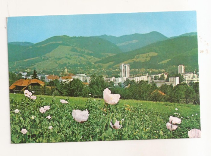 RF61 -Carte Postala- Campulung-Moldovenesc, necirculata