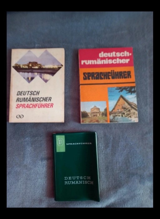 Dictionar roman german