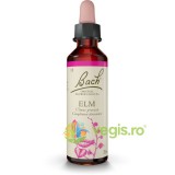 Bach 11 Elm (Ulm) Picaturi 20ml