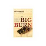 The Big Burn: Teddy Roosevelt and the Fire That Saved America