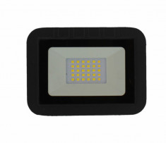 Proiector LED 20W 1600lm IP65 4000K negru Well foto