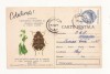 CA9 -Carte Postala- Buletin de avertizare - Combateti gargarita , Circulata 1968