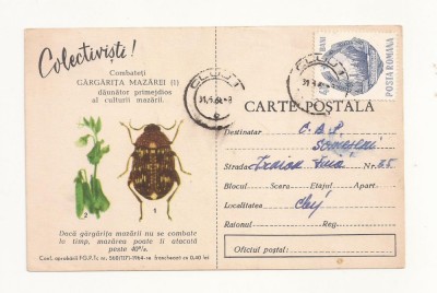 CA9 -Carte Postala- Buletin de avertizare - Combateti gargarita , Circulata 1968 foto