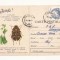 CA9 -Carte Postala- Buletin de avertizare - Combateti gargarita , Circulata 1968