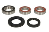 Kit rulment roata Spate (cu etansanti) pentru SUZUKI DL, GSF, GSX, GSX-R, GSX-S, SV 600-1340 2003-2016