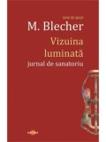 Cumpara ieftin Vizuina luminata. Jurnal de sanatoriu/Max Blecher