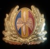 QW14 - Emblema militara / cuc - aviatie - anii 1990 - piesa de colectie
