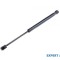 Telescop capota spate Renault Avantime (2001-2003)[DE0_] #1