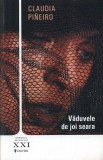 Vaduvele de joi seara | Claudia Pineiro, Univers