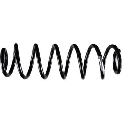 Sachs Arc spiral foto