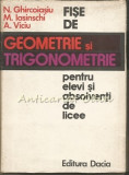 Cumpara ieftin Fise De Geometrie Si Trigonometrie Elevi Si Absolventi De Licee