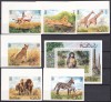 DB1 Fauna Africana Ras al Khaima Maimuta 6 v. NDT + SS DT MNH colt coala, Nestampilat