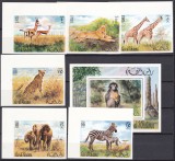 DB1 Fauna Africana Ras al Khaima Maimuta 6 v. NDT + SS DT MNH colt coala, Nestampilat