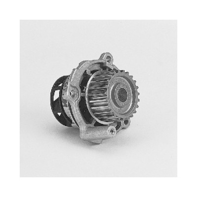 Pompa apa Hepu P545 foto