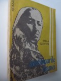 Anotimpurile mamei - Stela Szentes