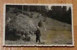 Fotografie munci agricole 1967