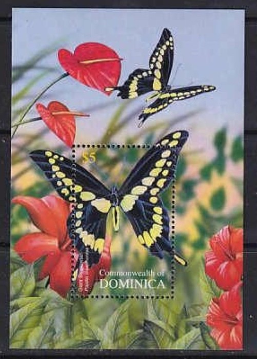 DOMINICA 2004 FAUNA INSECTE FLUTURI