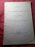 Rev. - Stefan D.Grecianu - Scrierile lui Radu Logofetul Cronicarul - Ed. Carol Gobl 1904 ,52pag