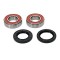 Kit Rulmenti roata fata Ducati Diavel Monster Panigale Kawasaki Mule Triumph Speed spate Beta RR Xtrainer Yamaha YT60 All Balls 25-1404
