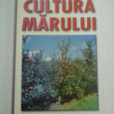 CULTURA MARULUI - I. CHIRA * I. PASCA