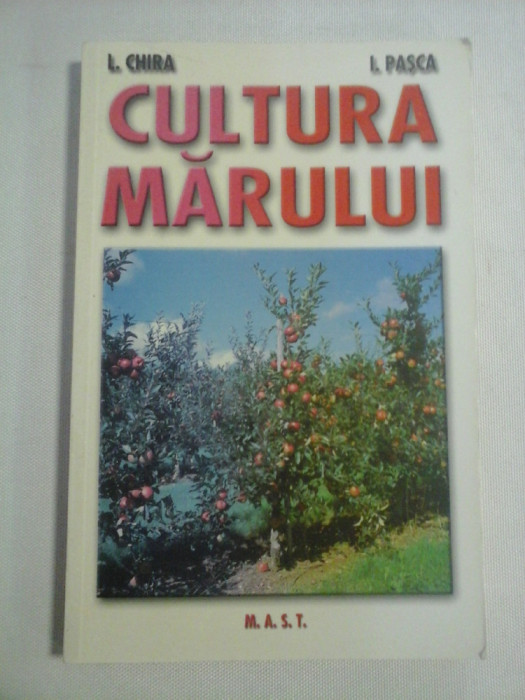 CULTURA MARULUI - I. CHIRA * I. PASCA