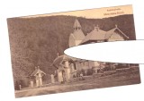 CP Moneasa - Vila Andrenyi, pana in 1918, necirculata, stare foarte buna, Fotografie, Arad