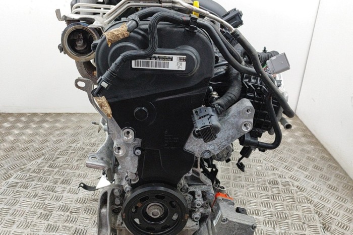 VW TIGUAN AD1 2021 - Motor - OEM: DGE,DGEA