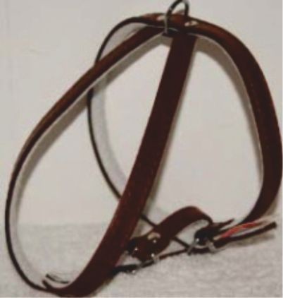 Ham piele reglabil 43 &ndash; 53 cm Nr 1 maro