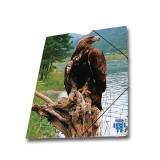 Mapa carton A4 cu elastic si model Skag vultur