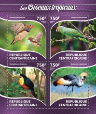 AFRICA CENTRALA 2015 - Pasari tropicale /set complet-bloc + colita MNH (2 imagini)
