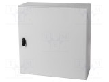 Carcasă montare pe perete SCHNEIDER ELECTRIC 600x600x250mm oţel IP66