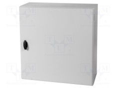 Carcasă montare pe perete SCHNEIDER ELECTRIC 600x600x250mm oţel IP66