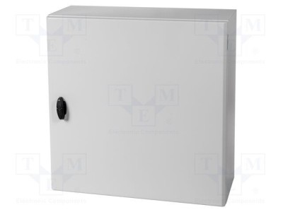 Carcasă montare pe perete SCHNEIDER ELECTRIC 600x600x250mm oţel IP66 foto