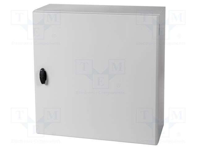 Carcasă montare pe perete SCHNEIDER ELECTRIC 600x600x250mm oţel IP66