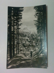 Carte po?tala - Vedere din Sinaia - circulata, anii 1960 foto