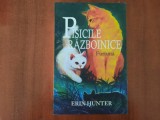 Pisicile razboinice.Furtuna de Erin Hunter